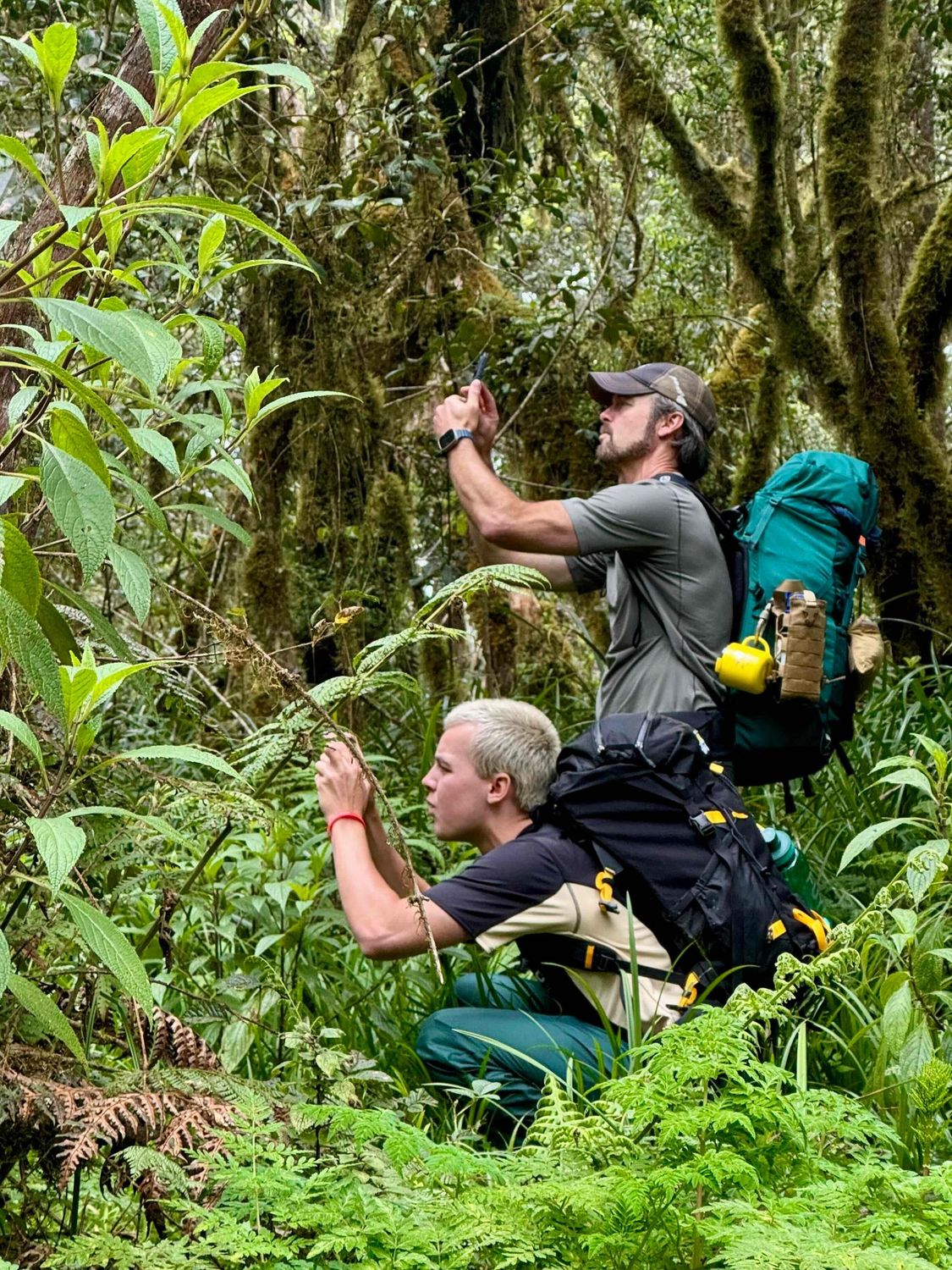 Mount Kilimanjaro 7 Day Trek