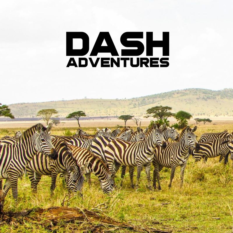 Tanzania Safari *ADD ON* to Kilimanjaro Trek
