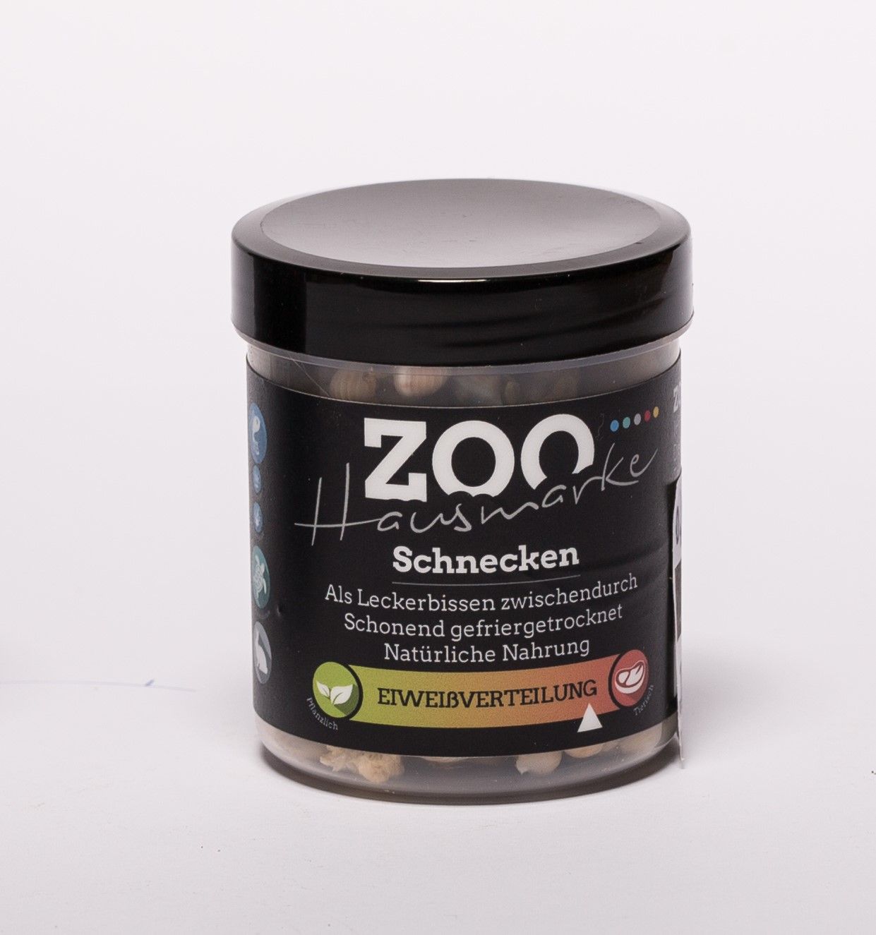 Schnecken