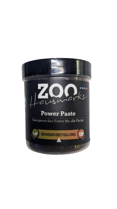 Power Paste