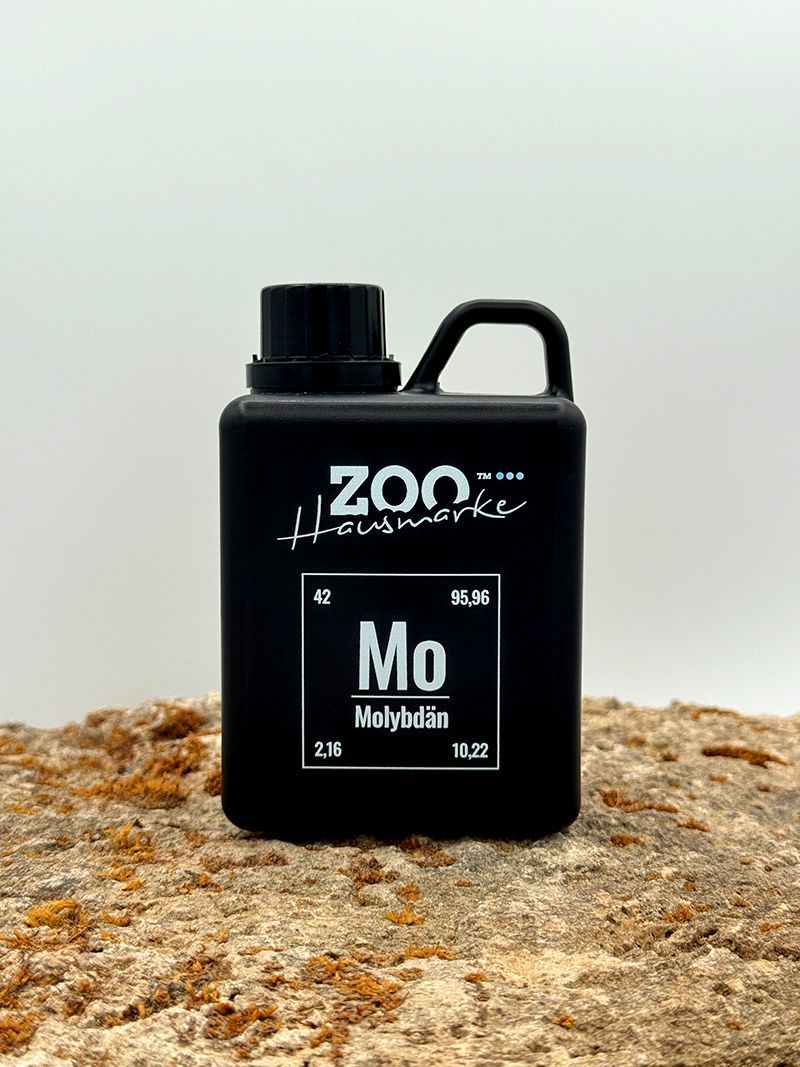 GIGAZOO PRO – Molybdän (Mo) GIGAZOO PRO – Molybdän (Mo)