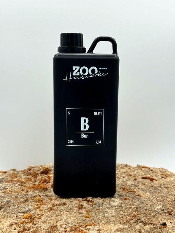 GIGAZOO PRO – Bor (B) GIGAZOO PRO – Bor (B)