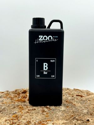 GIGAZOO PRO – Bor (B)