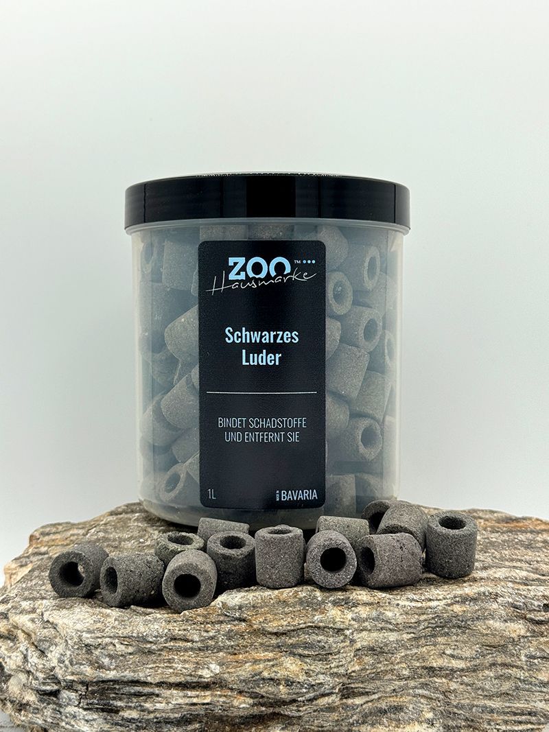 GIGAZOO PRO – CarbonMatrix 1500