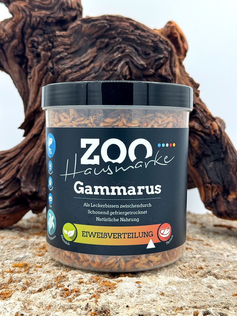 GIGAZOO PRO – Gammarus