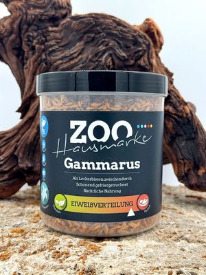 GIGAZOO PRO – Gammarus