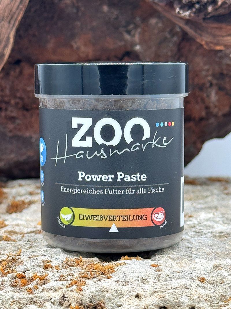 GIGAZOO PRO – Power Paste GIGAZOO PRO – Power Paste