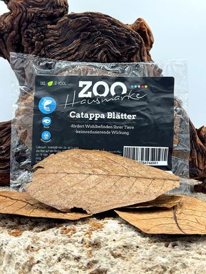 GIGAZOO PRO – Catappa Blätter XL