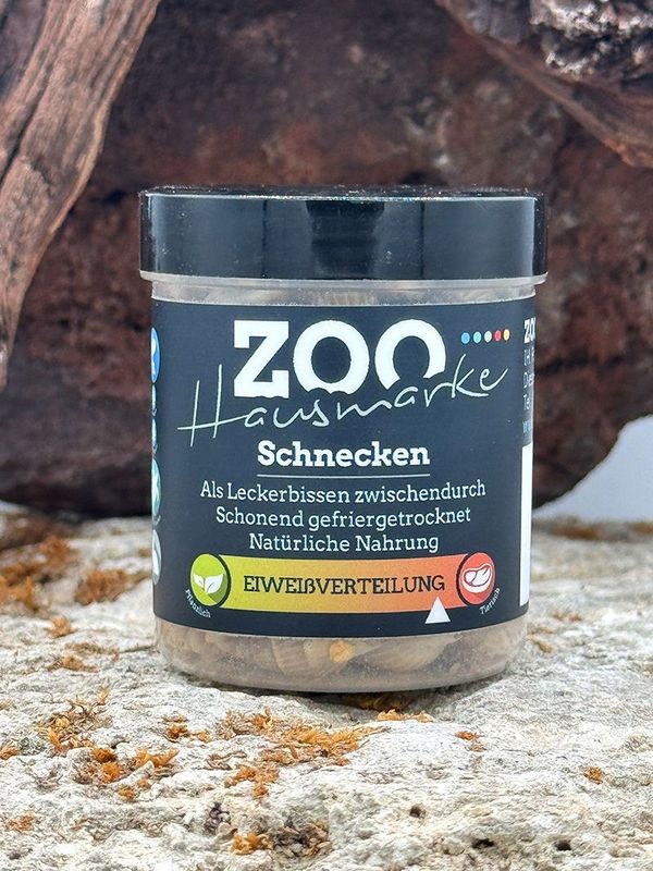 GIGAZOO PRO – Schnecken GIGAZOO PRO – Schnecken