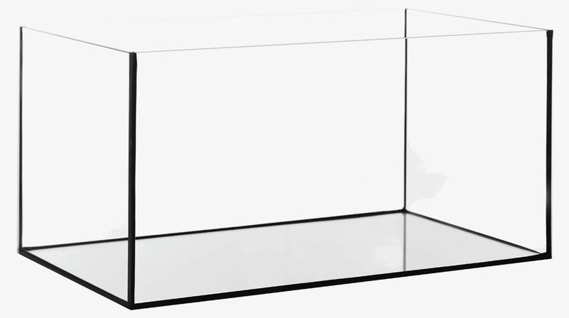 Rechteck-Aquarien - in verschiedenen Größen Rechteck-Aquarien - in verschiedenen Größen