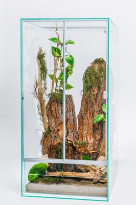 Hochterrarium mit Schiebetüren - verschiedene Größen
