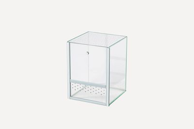 Kleine Terrarien - verschiedene Größen Kleine Terrarien - verschiedene Größen