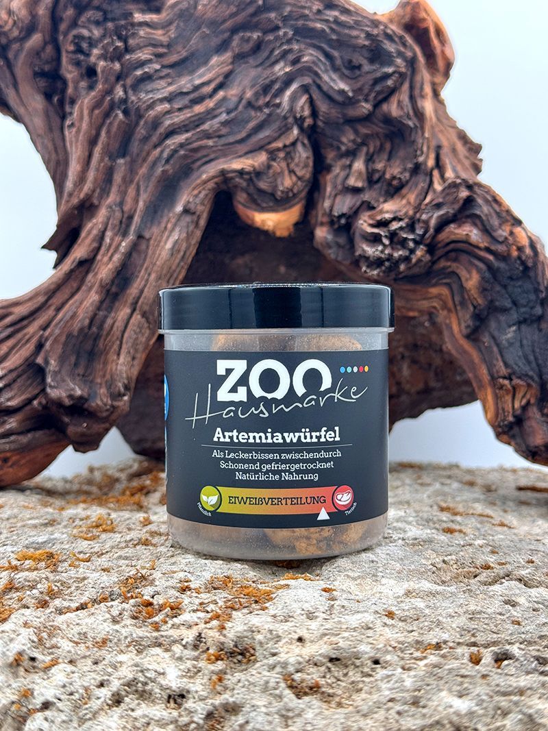 GIGAZOO PRO – Artemiawürfel