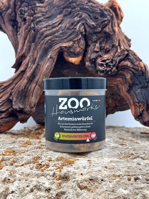 GIGAZOO PRO – Artemiawürfel GIGAZOO PRO – Artemiawürfel