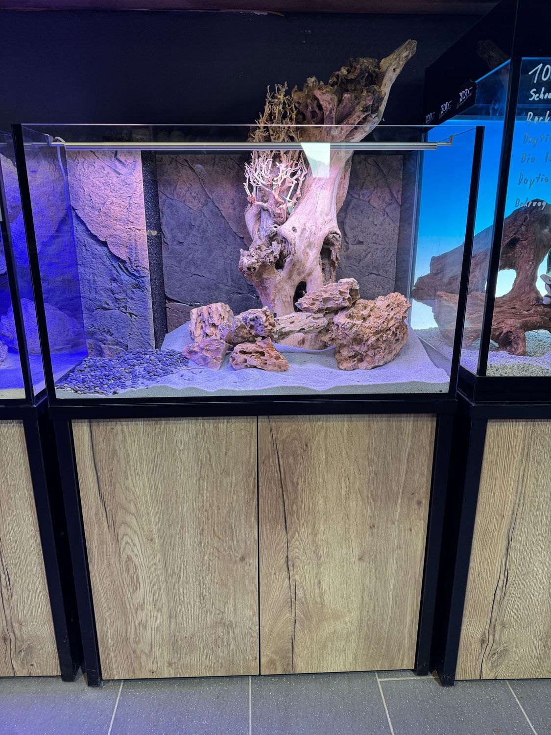 80 x 50 x 50 cm OptiWhite Sonderbau Aquarium mit Schrank ohne Deckel. Nur Selbstabholung. 80 x 50 x 50 cm OptiWhite Sonderbau Aquarium mit Schrank ohne Deckel. Nur Selbstabholung.