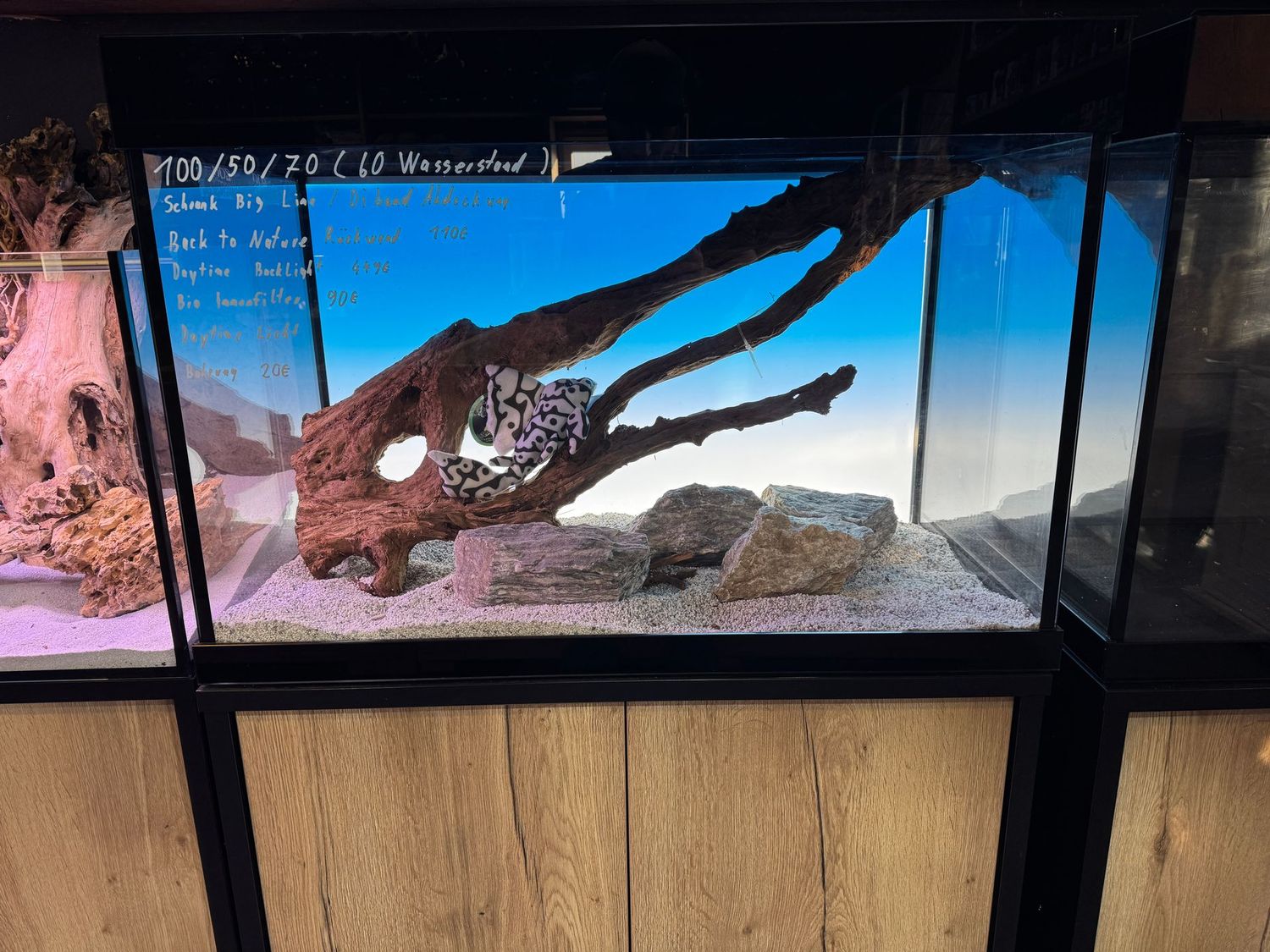 ​100 x 50 x 60 cm OptiWhite Sonderbau Aquarium mit Schrank & Deckel.  Nur Selbstabholung.