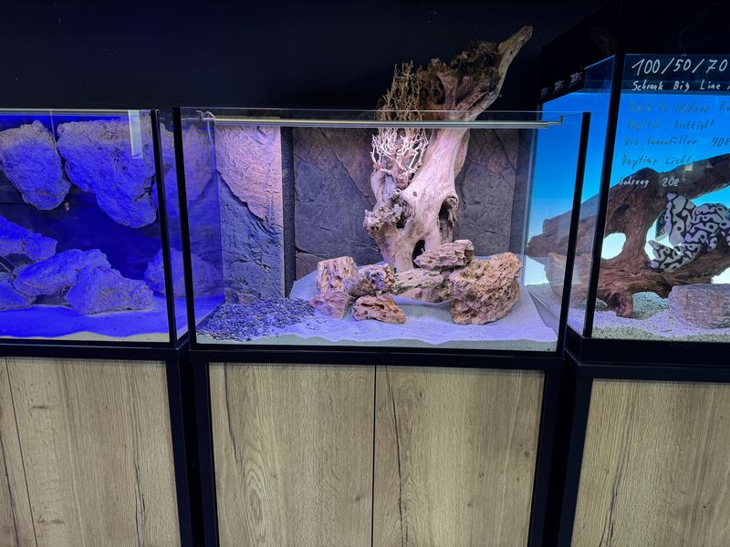 50 x 50 x 50 cm OptiWhite Sonderbau Aquarium mit Schrank ohne Deckel. Nur Selbstabholung.