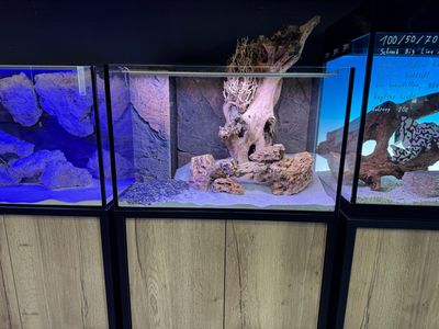 50 x 50 x 50 cm OptiWhite Sonderbau Aquarium mit Schrank ohne Deckel. Nur Selbstabholung. 50 x 50 x 50 cm OptiWhite Sonderbau Aquarium mit Schrank ohne Deckel. Nur Selbstabholung.