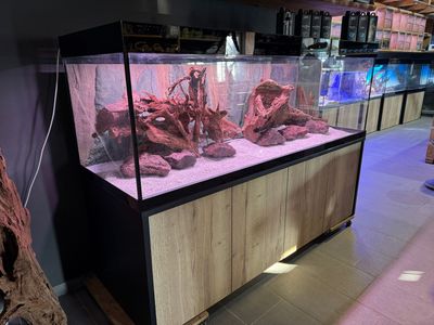 GIGAZOO PRO - 150 x 60 x 60 cm OptiWhite Sonderbau Aquarium mit Schrank & Deckel.  Nur Selbstabholung.