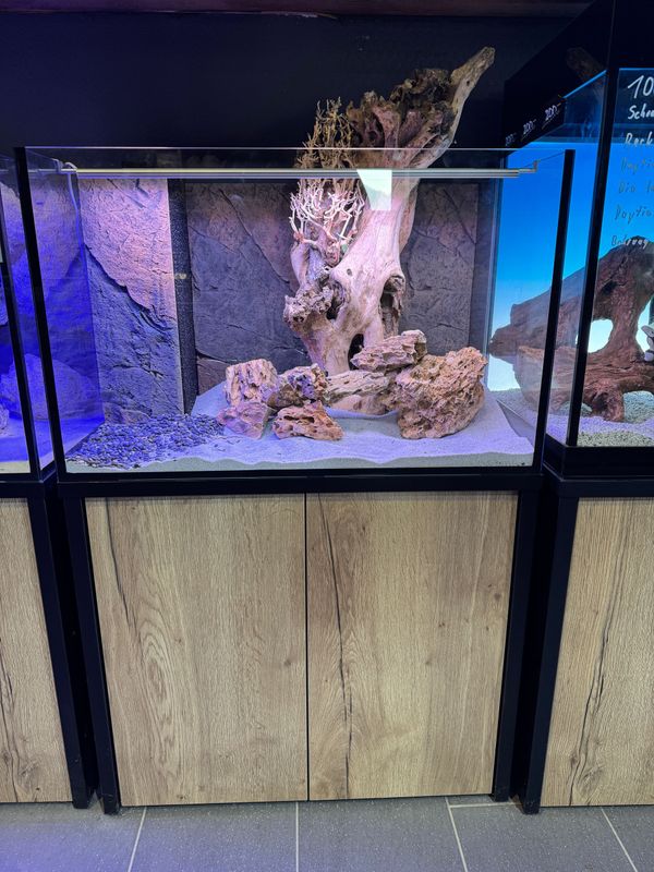 80 x 50 x 50 cm OptiWhite Sonderbau Aquarium mit Schrank & Deckel. Nur Selbstabholung.