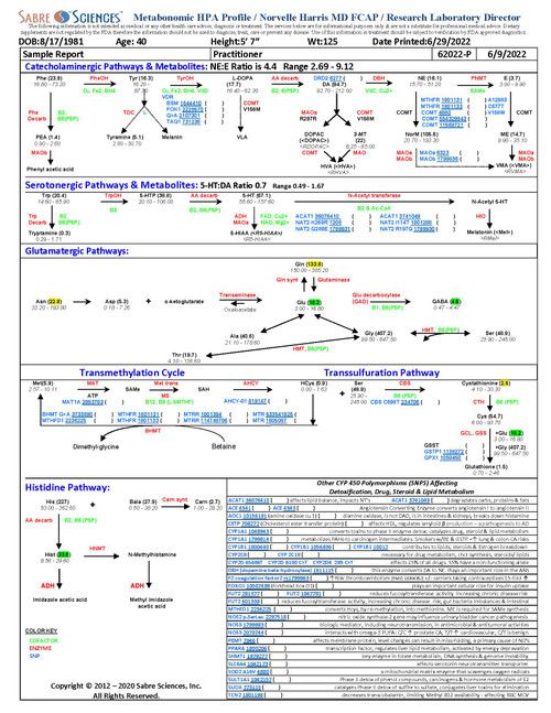 HPA 4 Flowchart Sample