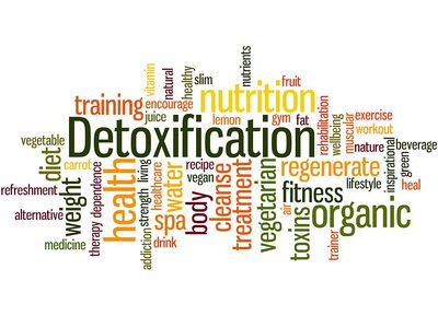 Nutritional Balancing Program Benefits