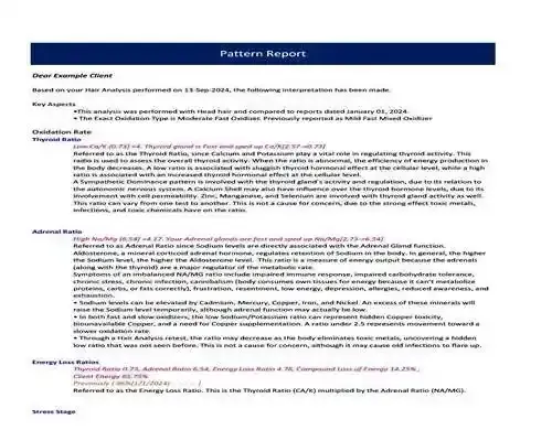 Retest Hair Analysis Kit - ARL Profile 3 HTMA Retest & Pattern Report