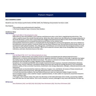 Hair Tissue Mineral Analysis Kit - Initial HTMA Test & Pattern Report