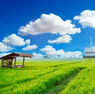 The Importance of Clean Air