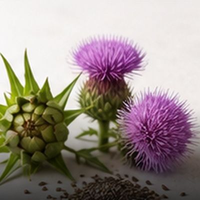 Detox &amp; Liver Support