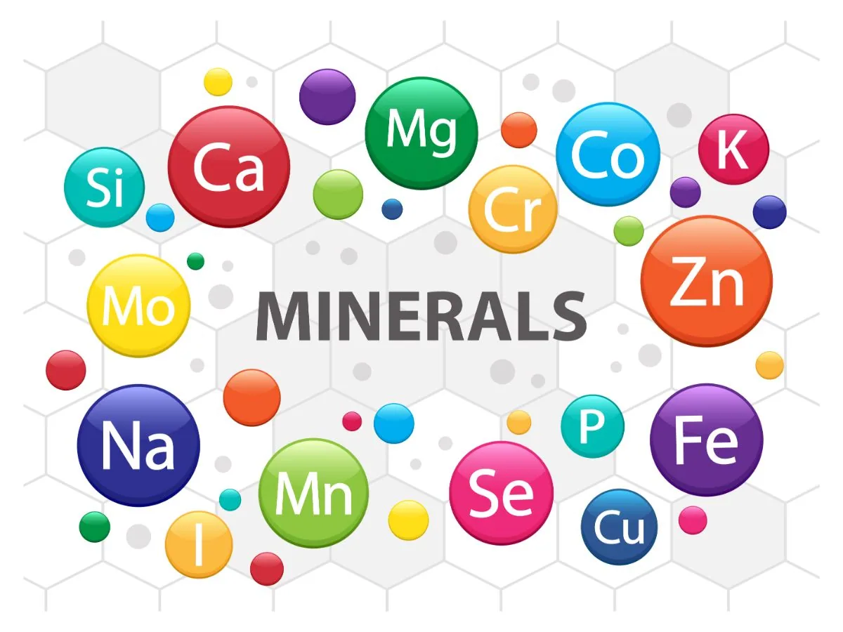 Minerals in the Body