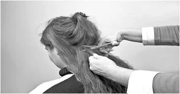 cutting-long-hair.jpg cutting-long-hair.jpg