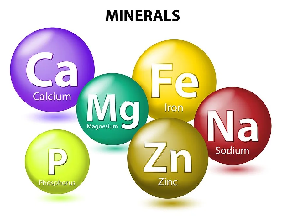 Minerals and toxic metals