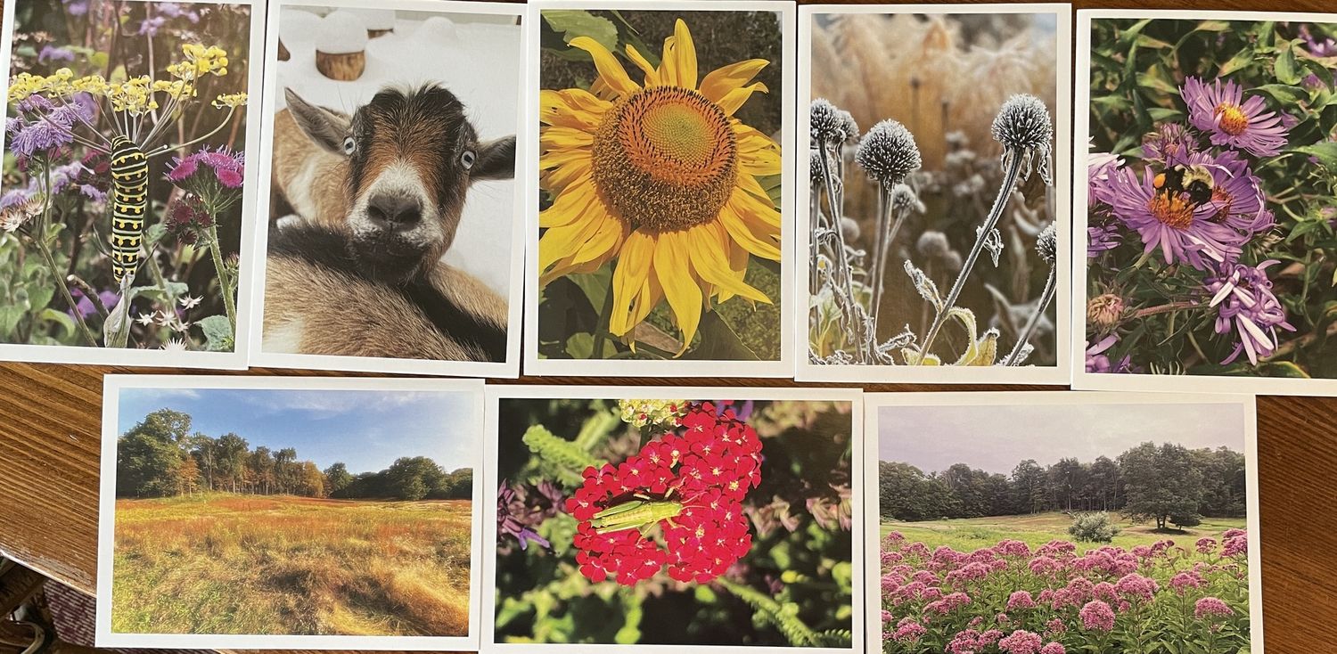 Note Cards - Lachat Farm