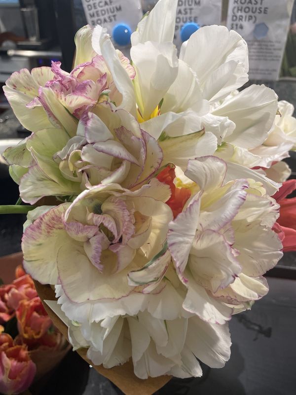 Flower Bouquets - Roots & Thread of Easton