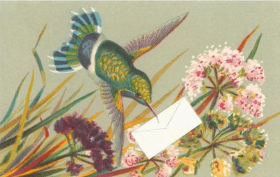 Greeting Cards