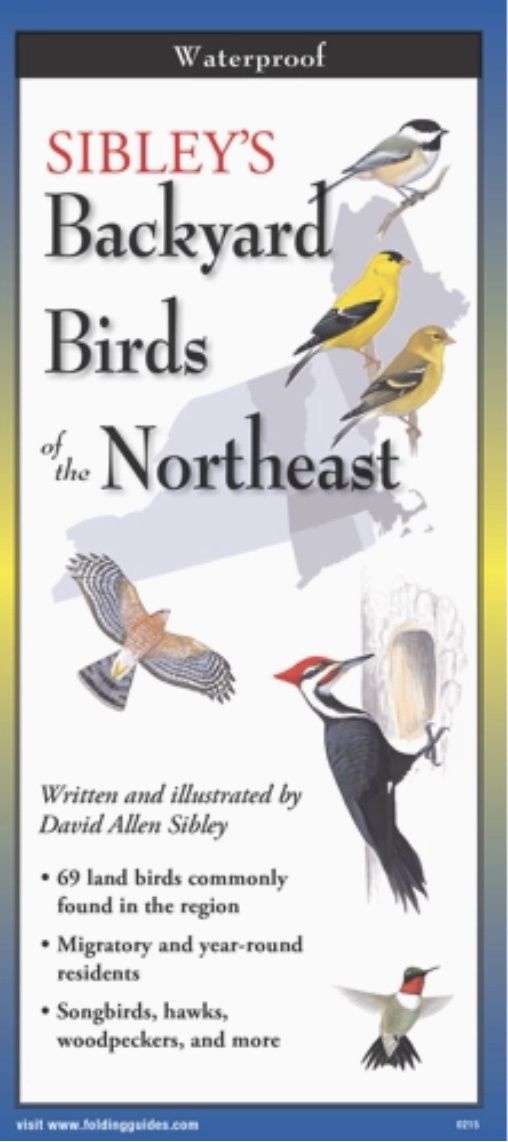 Nature Folding Pocket Guides, Title: Backyard Birds of the Northeast
