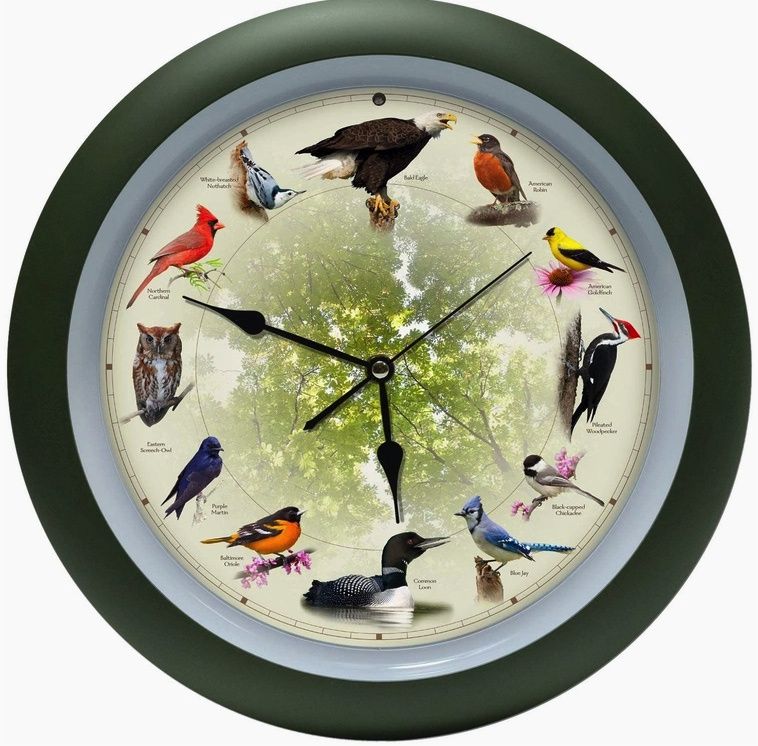 Cuckoo Clocks, Name: Singing Bird Clock with Tree Face