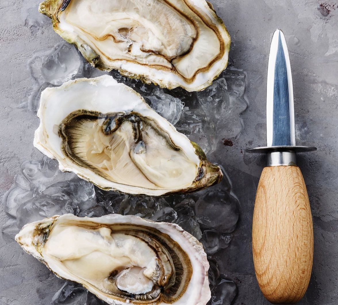 Oyster Knife