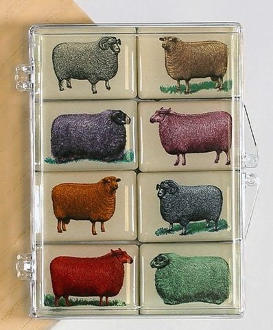 Magnets - Assorted