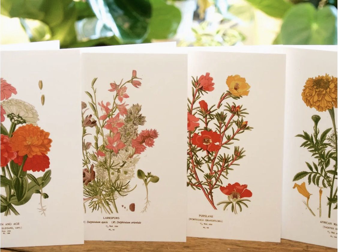 Botanical Note Cards - Seattle Seed Co,