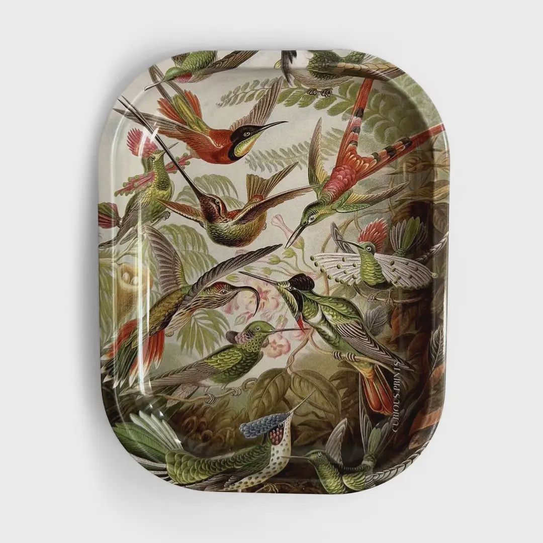 Metal Catch-all Trays, Design: Hummingbirds