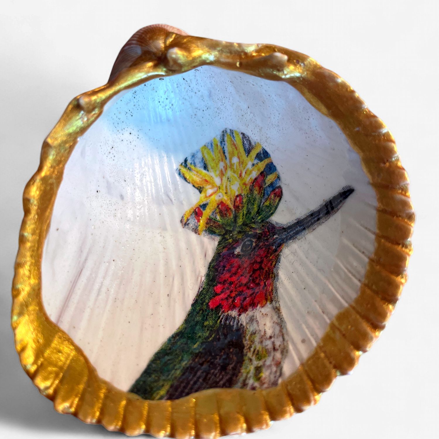 Decoupage Shells, Size: Small Scallop Hummingbird