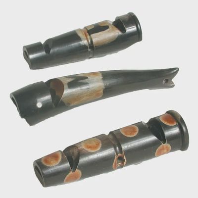 Horn Whistles