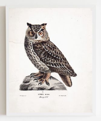 Framed Vintage Art Prints