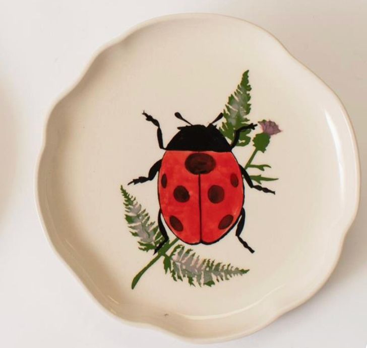 Beetles Decor, Item: Ladybug 8-inch Dish