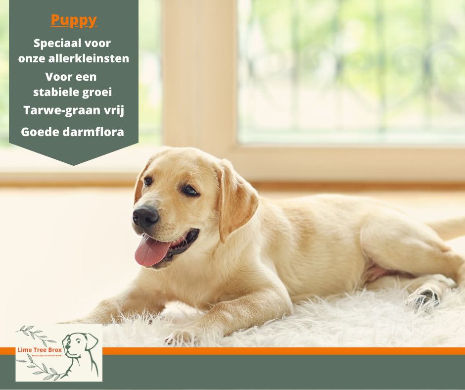 Puppy Kip | Voor een goede start |