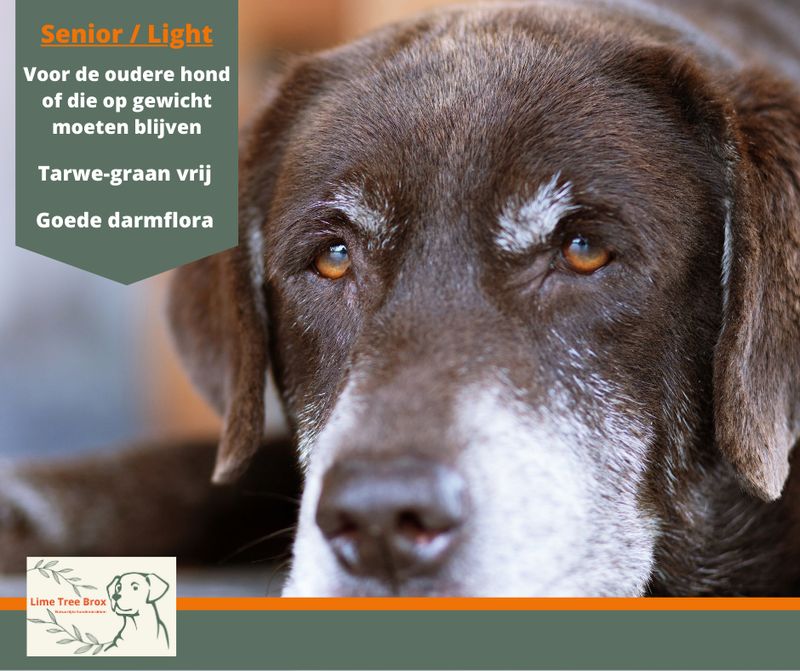 Senior Light | voor de oudere hond of de hond die op gewicht moet blijven Senior Light | voor de oudere hond of de hond die op gewicht moet blijven