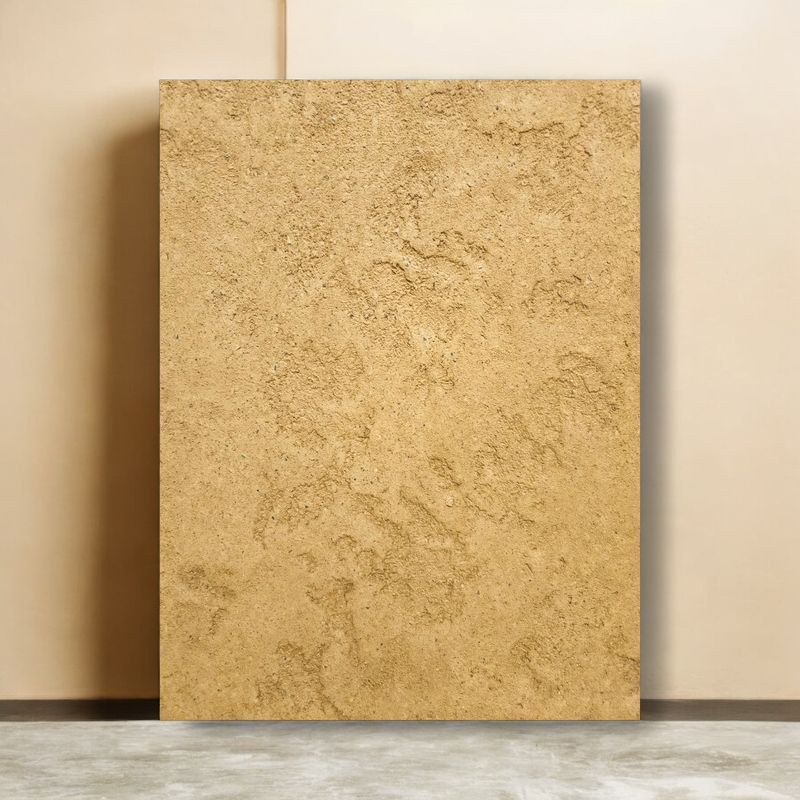 Sandy Beige Backdrop