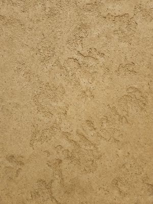 Sandy Beige Backdrop